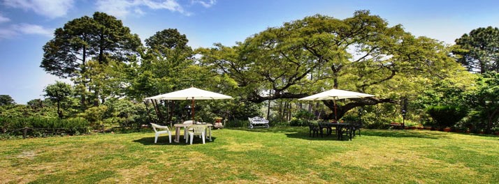 1705/Chevron Rosemount Hotel - Ranikhet 14.jpg